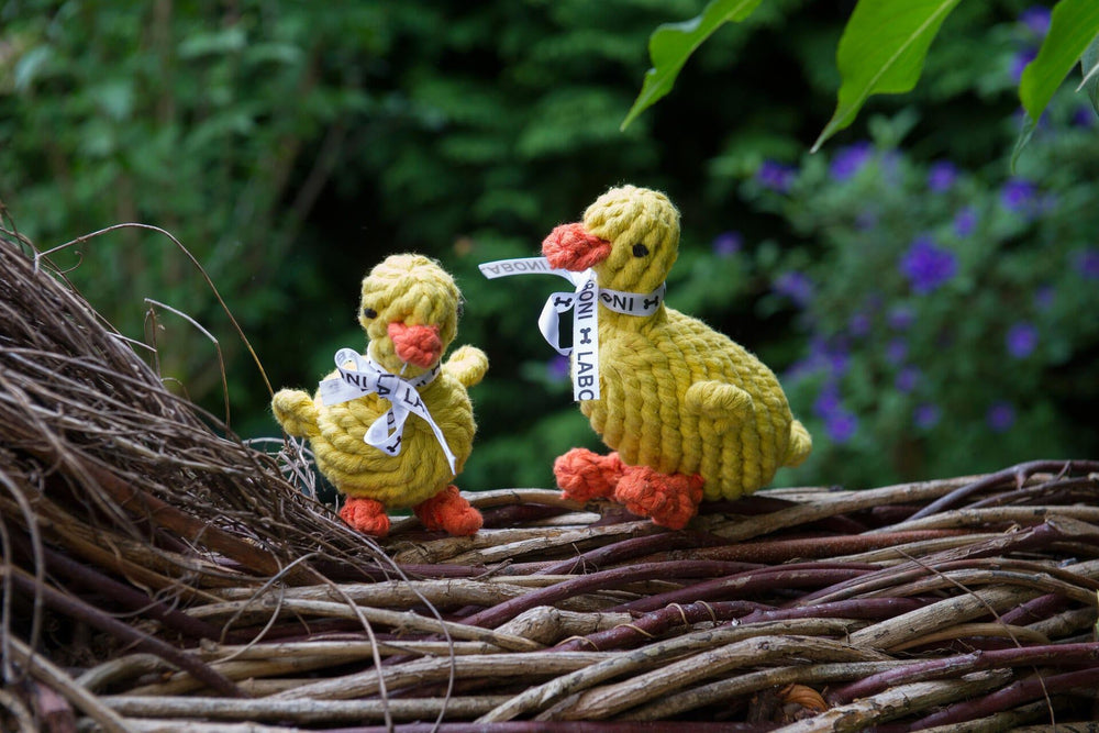 ALT-Text: "Zwei Emma Enten Spielzeuge für Hunde, gestrickt in gelb mit orangefarbenen Füßen und 'NO LAB' Band, ideal fürs Spielen."