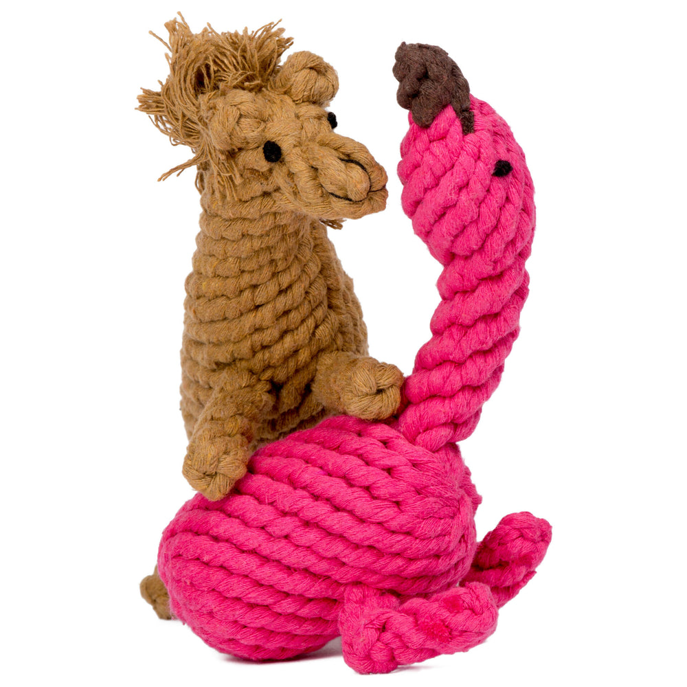 ALT-Text: "Franzi Flamingo Hundespielzeug: verspielte Flamingo- und Kamel-Tiere aus geflochtenem Material für Hunde."