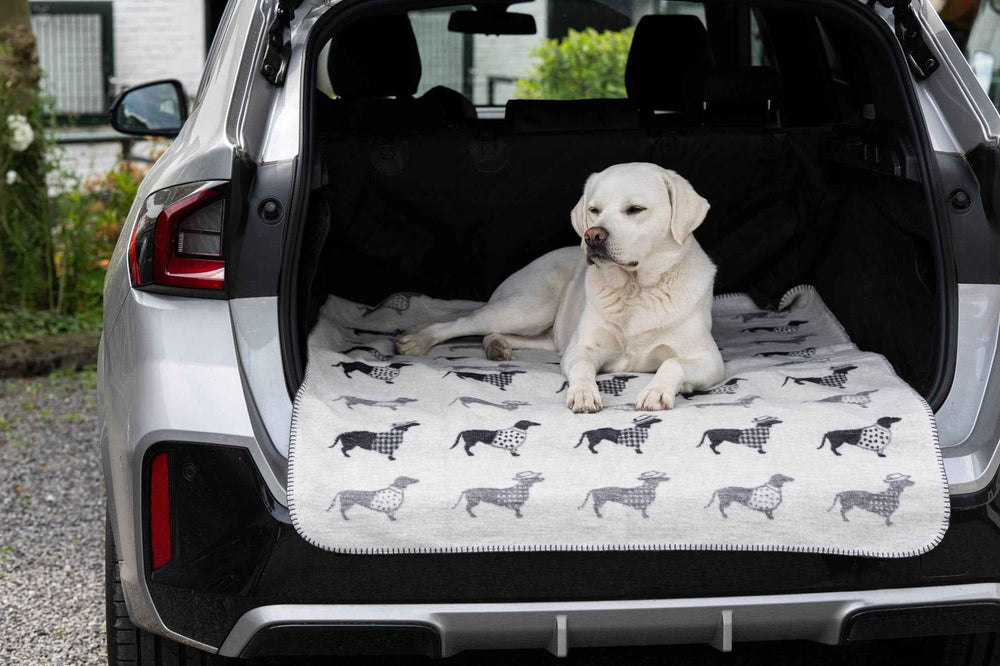 ALT-Text: Praktische Wendedecke TECKEL mit Dackelmotiv im Kofferraum eines Autos, ideal für Hundeliebhaber und Reisen.