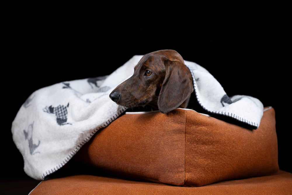 Praktische Wendedecke mit Dackelmotiv, perfekt für gemütliche Momente mit Ihrem Hund.