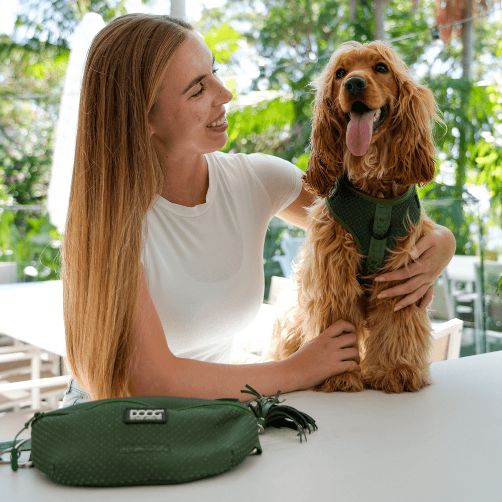 Frau mit Cocker Spaniel im grünen Geschirr, lächelt liebevoll neben ihrem Hund. Ideal für aktive Outdoor-Abenteuer.
