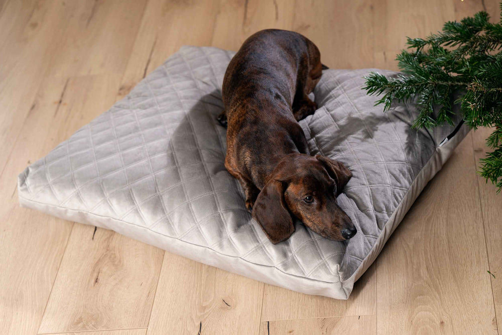 "Bequeme OXFORD-L Matratzenauflage für Hunde, Hund liegt entspannt auf gepolstertem Bett mit Quiltstruktur."