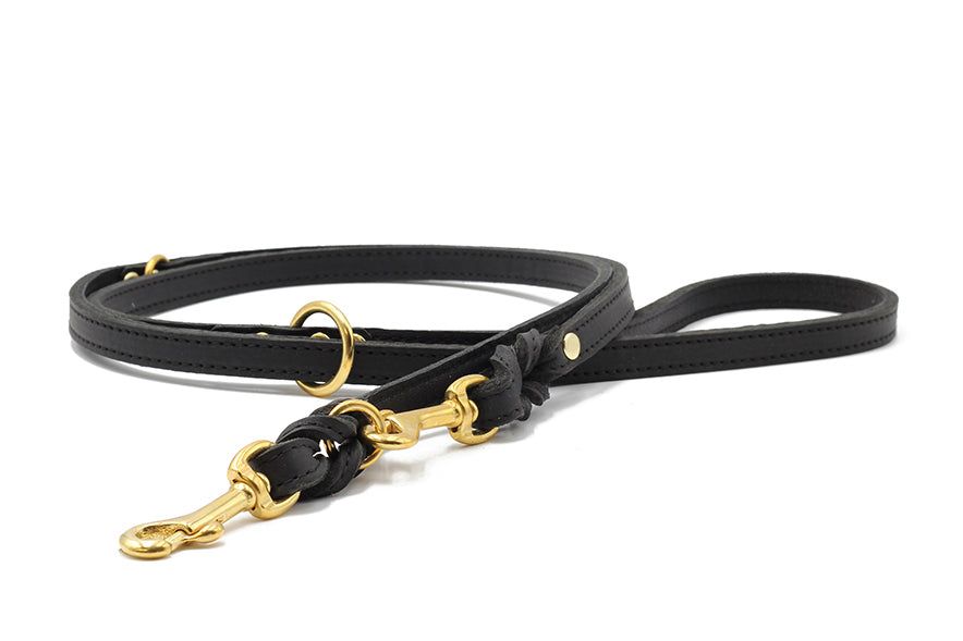 Elegante schwarze Hundeleine aus Leder mit goldenen Beschlägen und geflochtenem Detail, 2m lang. Premium-Qualität für stilvolle Herrchen.