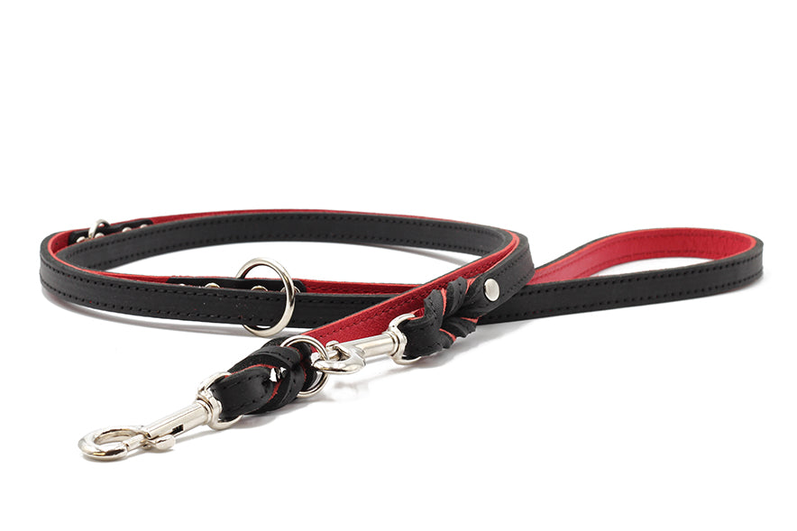 "Hochwertige schwarze Hundeleine mit roten Akzenten, 2m lang, stabiler Karabiner und komfortabler Handgriff."