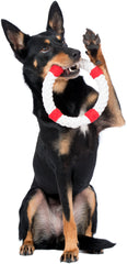 Schwarzer Hund mit Rettungsring-Spielzeug im Maul, hebt Pfote – ideale Beschäftigung und Spielspaß für Hunde.