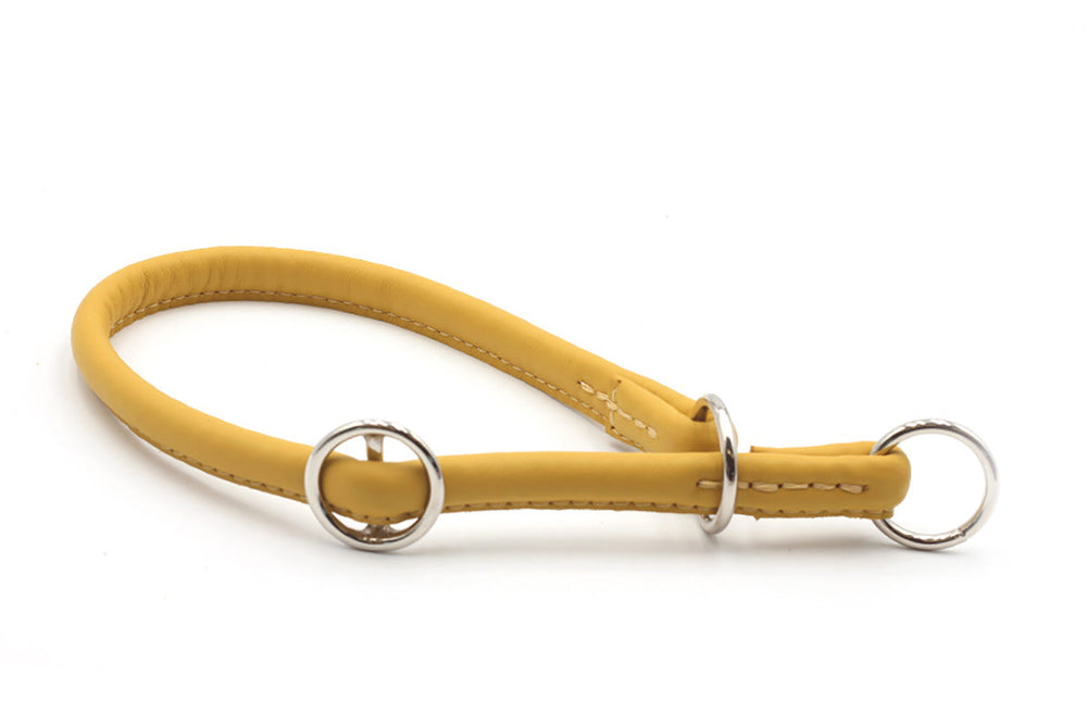 Gelbes rundgenähtes Lederhalsband für Hunde mit silbernen Ringen und heller Naht, geschwungene Form und glatte Oberfläche.