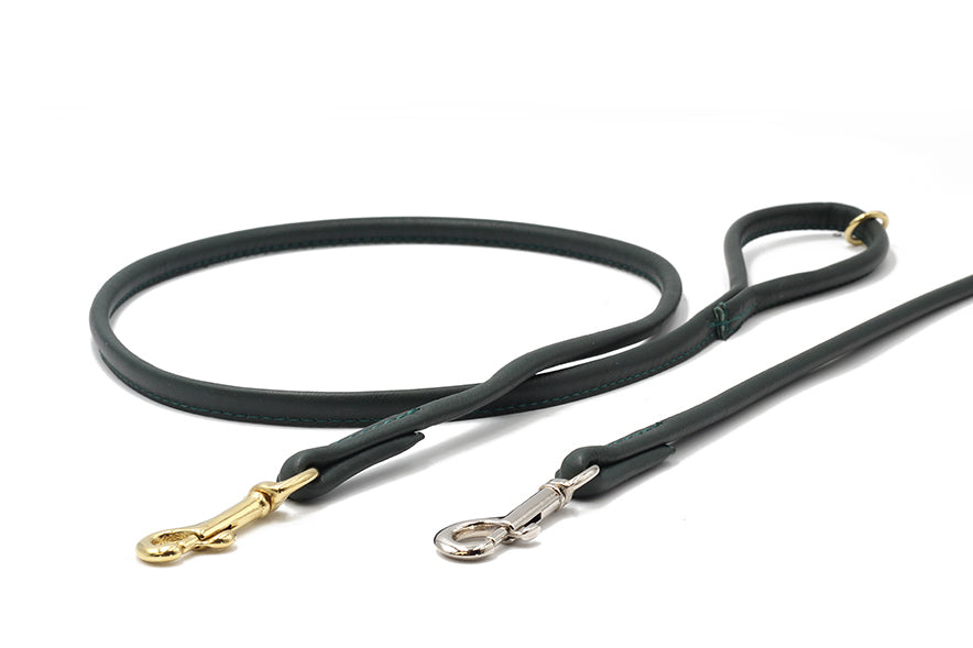 Grüne Leder-Hundeleine 1,20m mit goldenen und silbernen Haken, geschwungenes Design, glatte Oberfläche.