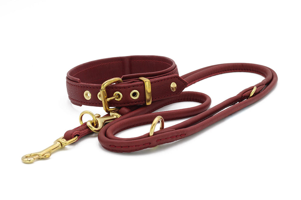 Rotes Leder-Halsband und -leine mit goldfarbenen Beschlägen im klassischen Design für Hunde.
