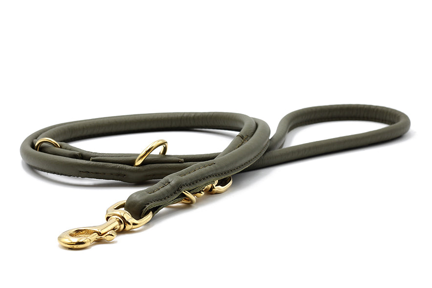 Elegante olivgrüne Lederleine, rundgenäht, 2m mit goldfarbenem Karabinerhaken. Ideal für stilvolle Hundebesitzer.