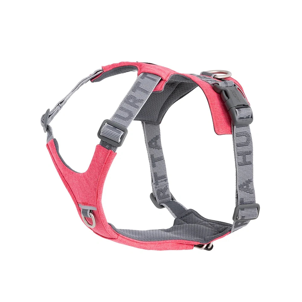 Hundegeschirr Rover Harness – zusätzliche Produktansicht 1