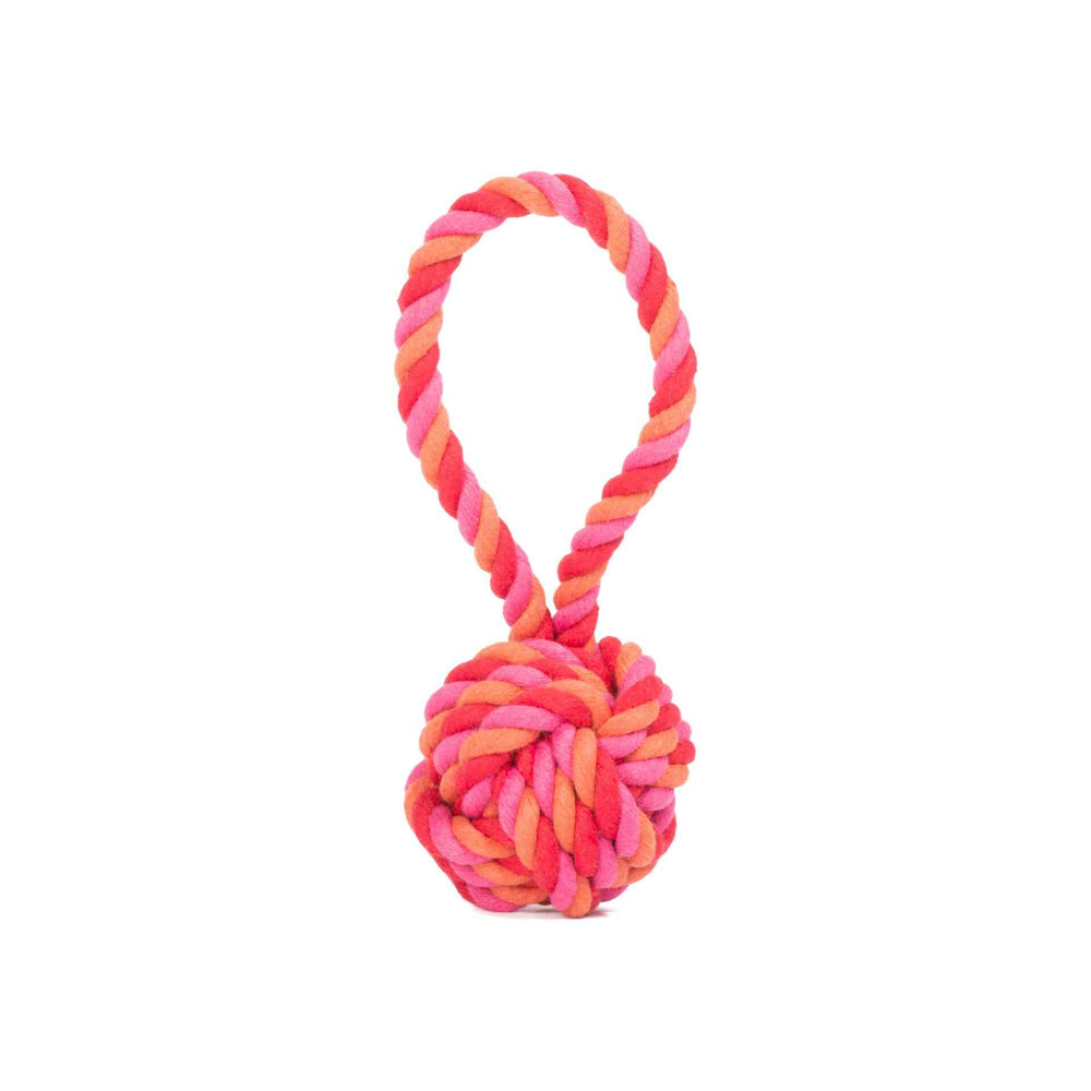 "Mini Schleuderball für Hunde - buntes Knoten-Spielzeug aus geflochtenem Material zum Werfen und Spielen."