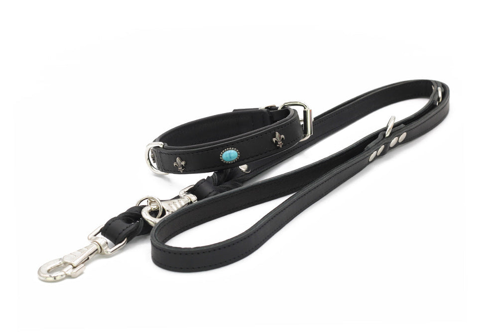 Schwarzes Lederhalsband und Leine mit silbernen Beschlägen und türkisfarbener Dekoration im San Francisco-Stil.