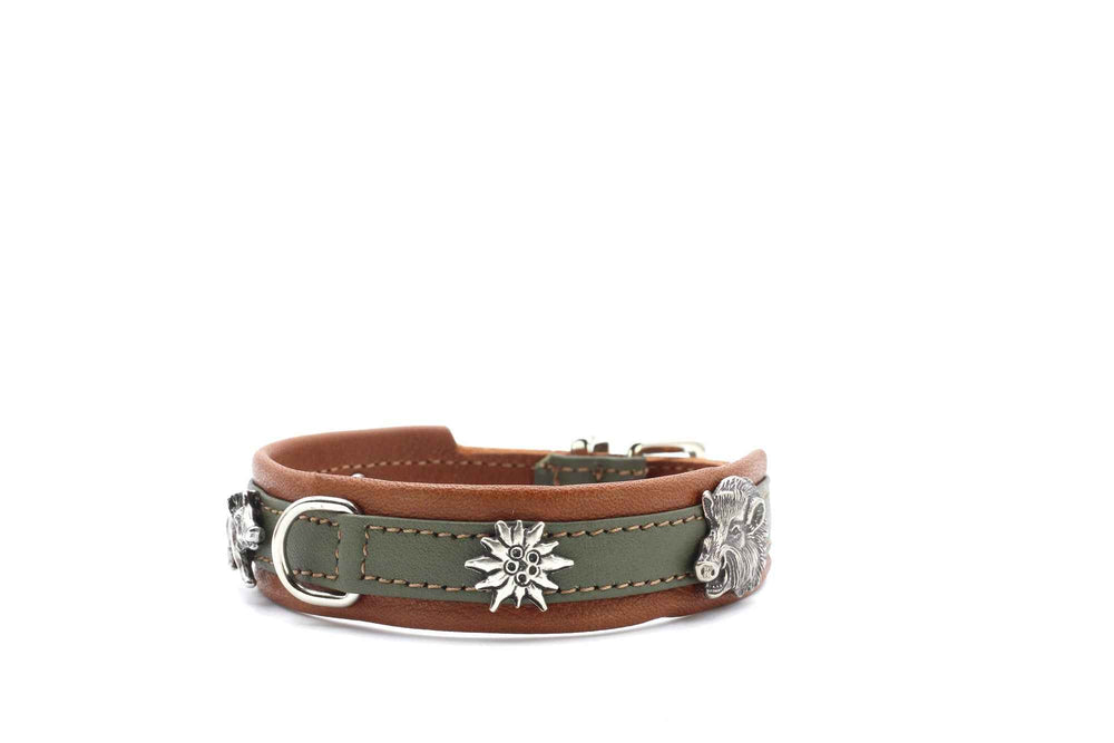 Dunkelgrünes Lederhalsband für Hunde mit brauner Innenseite und silbernen Sonnen-Motiven als Dekoration. Ideal für kleine Hunde.