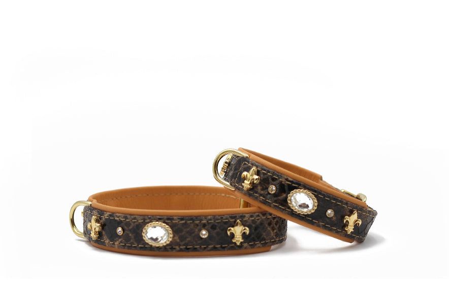 Elegante Hundehalsbänder aus Leder in Braun und Schwarz mit goldenen Fleur-de-Lis und Strasssteinen dekoriert.