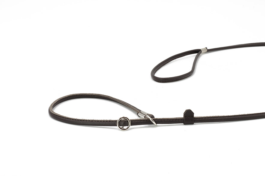 Elegante braune Lederhundeleine, fein verstellbar, mit Schlaufe und robustem Metallring für Hundehalter.