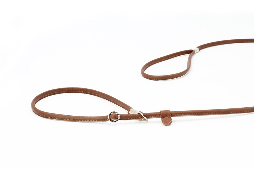 Braune, schmale, verstellbare Hundeleine aus Leder mit Schlaufe und metallischem Ring auf weißem Hintergrund.
