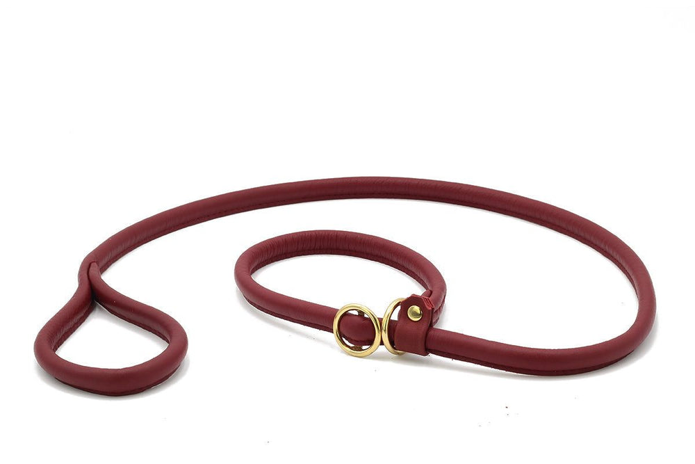 Burgunderrote Lederleine für Hunde mit goldenen Beschlägen und bequemer Halteschlaufe, flexibel im Design.