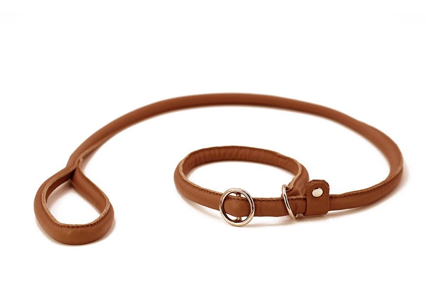 Hochwertige, braune Lederhundeleine im eleganten Cognac-Stil mit geschwungener Form und praktischer Schnalle.