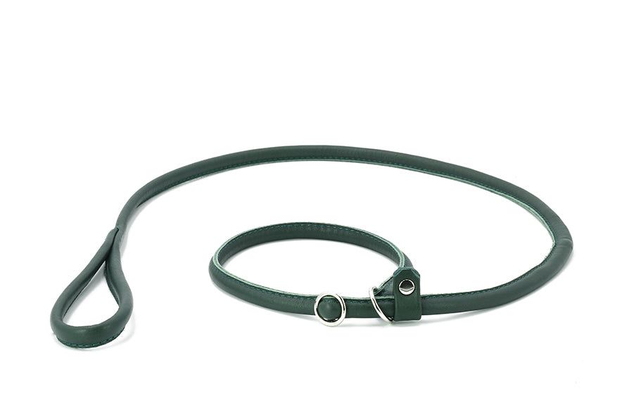 Elegante grüne Hundeleine aus Leder mit rundem Griff und Schlaufe, modern und hochwertig für jeden Hundebesitzer.