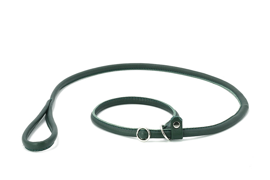 Elegante grüne Hundeleine aus Leder mit rundem Griff und Schlaufe, modern und hochwertig für jeden Hundebesitzer.