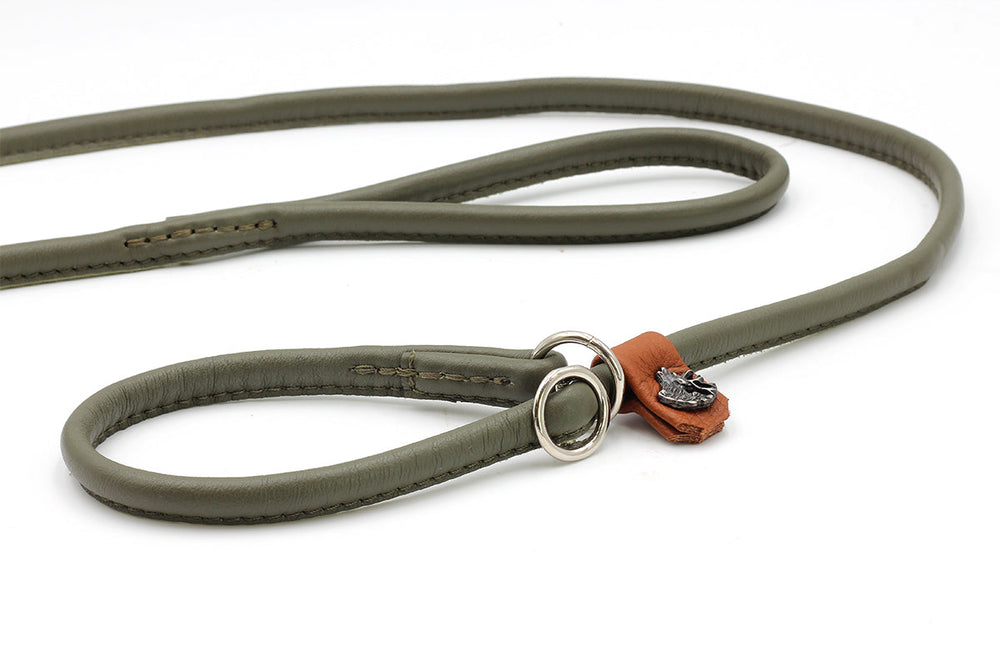 Grüne Lederleine für Retriever mit dekorativem orangefarbenem Detail und Ring zum Befestigen. Ideal für die Jagd.