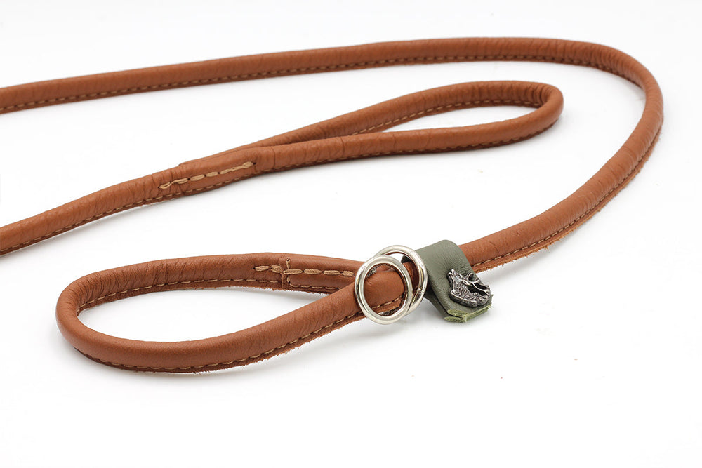 Braune Lederleine für Hunde mit schlanker Oberfläche und dekorativem Metallring. Ideal für stilvolle Spaziergänge.