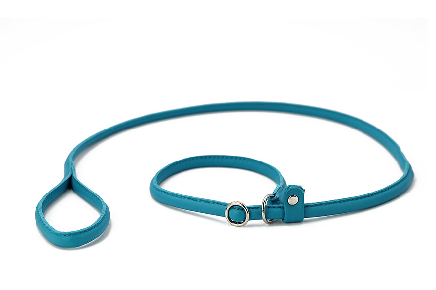 Türkise Lederleine für Hunde mit Schlaufen-Handgriff, Ring und Druckknopf zur Befestigung an Geschirr.