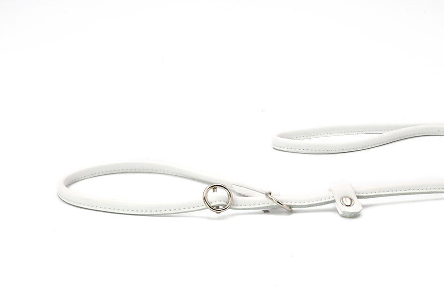 Verstellbare Lederleine für große Hunde in schlichtem Design mit goldenen Akzenten.