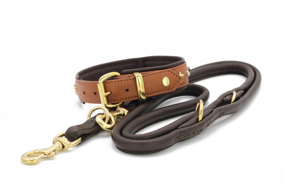 Halsband Dark Diamond: Braune Lederhalsband mit goldfarbenen Beschlägen und gepolsterter Innenlinie für Hunde.