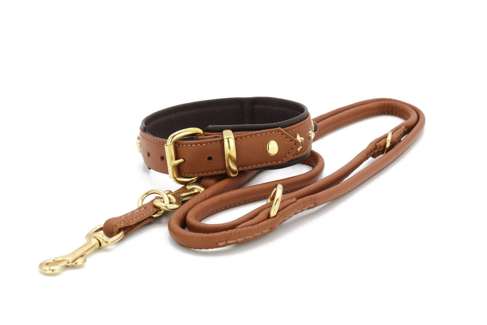 Braunes, gepolstertes Lederhalsband mit goldfarbenen Beschlägen und passender Leine für Hunde.