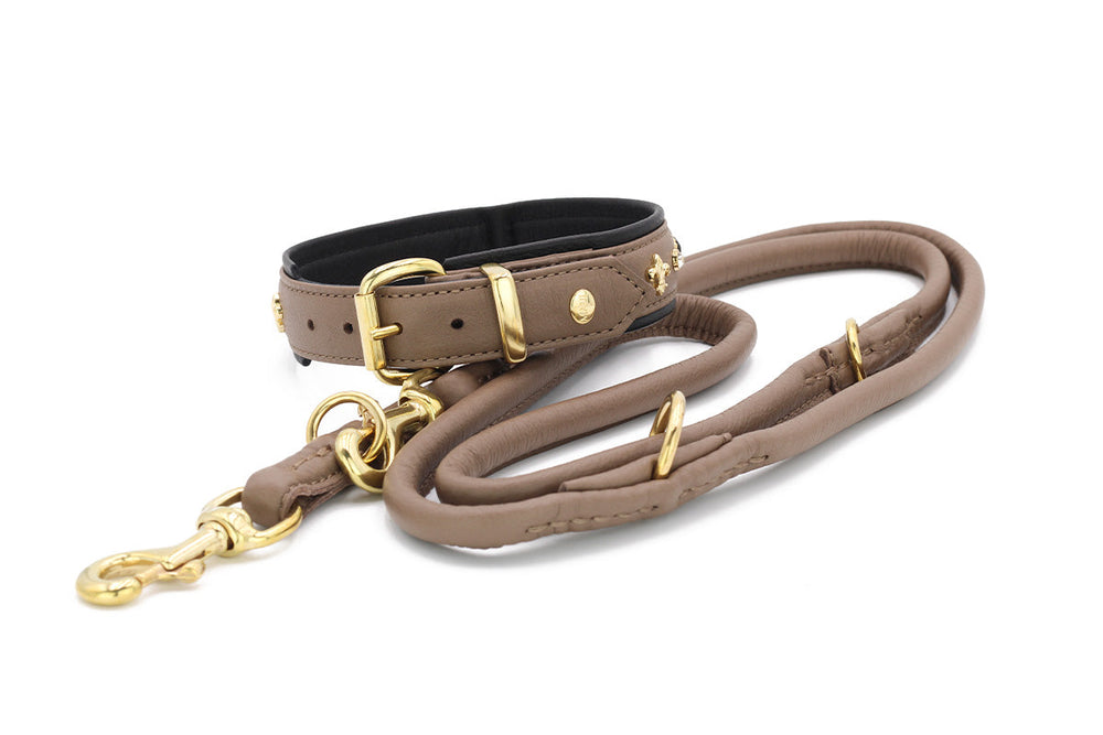 Elegante Hundeleine aus braunem Leder mit goldenen Beschlägen und weicher Polsterung für optimalen Komfort.