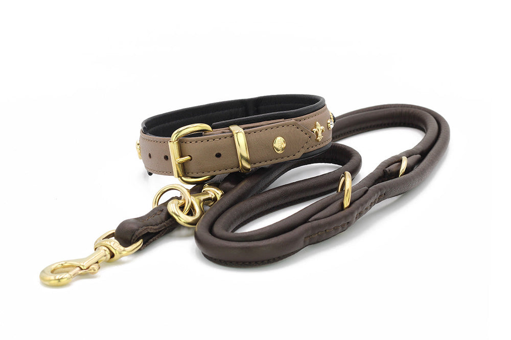 Hochwertiges Hundehalsband aus dunkelbraunem Leder mit goldfarbenen Akzenten und passende Leine.