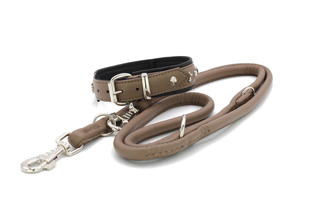 "Hundehalsband Dark Diamond aus Braunton mit Nieten und silberner Schnalle, dazu passende gewellte Leine."