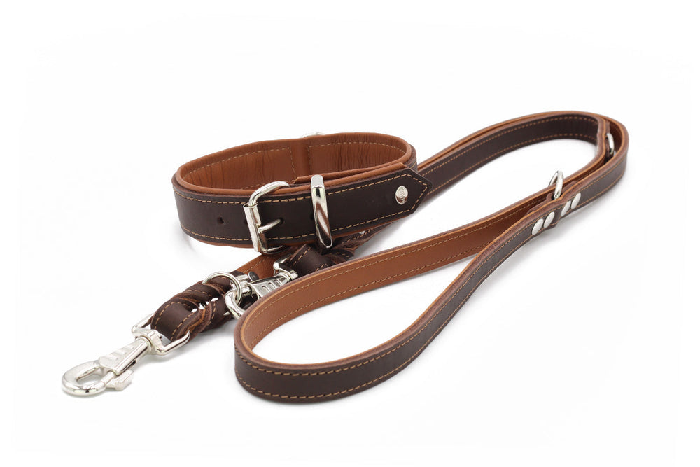 Braune Hundeleine aus Leder mit robustem Karabinerhaken und kontrastierender Naht. Ideal für Hundehalter.