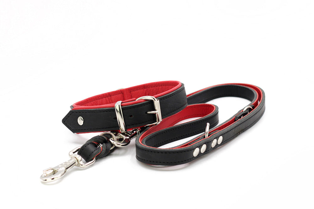 Schwarze Premium-Hundeleine aus Leder mit roten Akzenten, verstellbar und mit robustem Metallkarabiner.