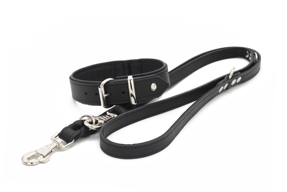 Schwarze Premium-Hundeleine aus Leder mit gepolstertem Griff und robustem Karabinerhaken, schlicht und funktional.