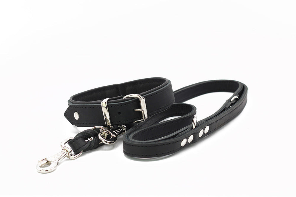 Schwarze Leder-Hundeleine mit gepolstertem Griff und metallischen Beschlägen für maximalen Komfort und Sicherheit.