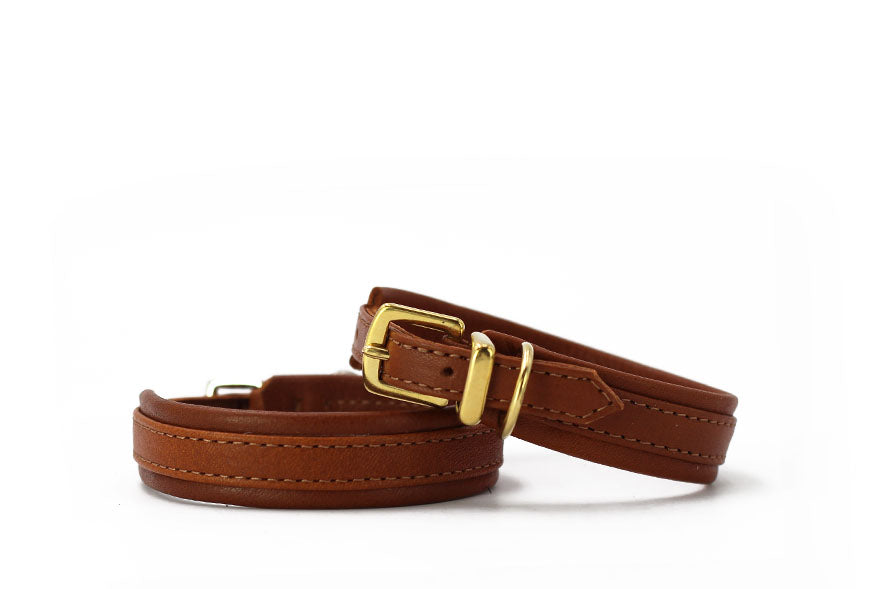 Braune Lederriemen mit goldfarbenen Schnallen auf weißer Unterlage, ideal für stilvolle Hundehalsbänder.