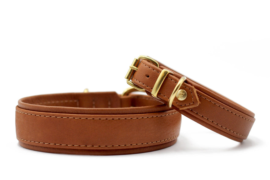 Zwei braune Lederhundehalsbänder mit goldfarbenen Schnallen in klassischen Designs.