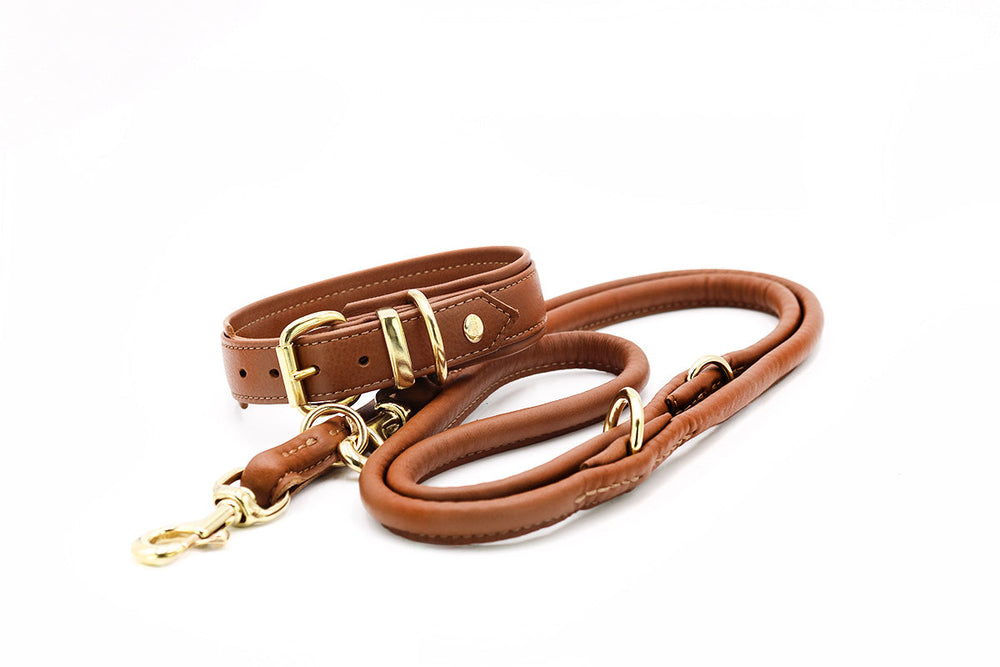 Elegante braune Hundeleine aus Leder mit goldfarbenen Beschlägen und Karabinerhaken, ideal für stilbewusste Hundehalter.