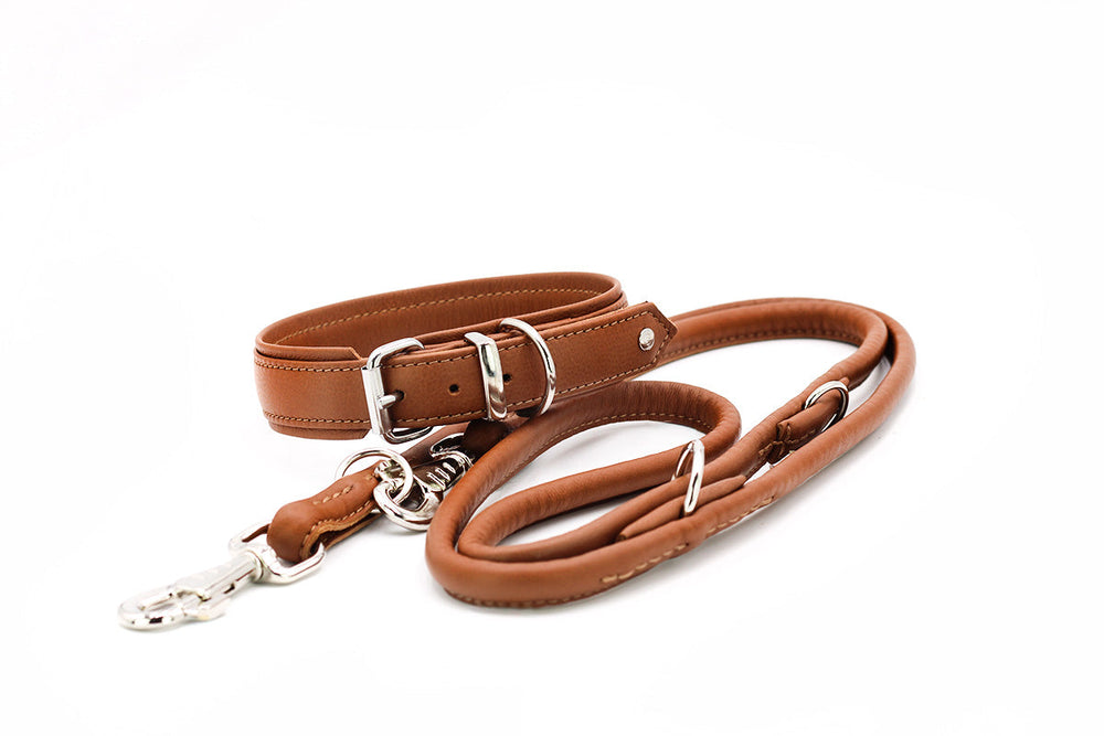 Elegante braune Hundeleine aus Leder mit silberner Schnalle und Karabinerhaken in zwei Teilen.