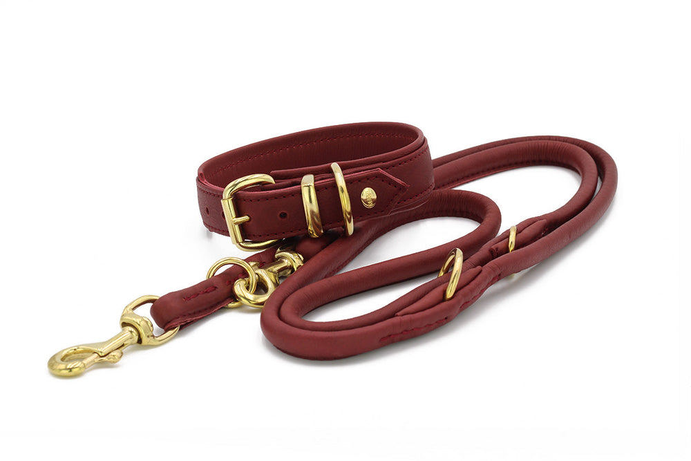 Elegante rote Hundeleine aus Leder mit goldenen Beschlägen, verstellbarer Schlaufe und Karabinerhaken.
