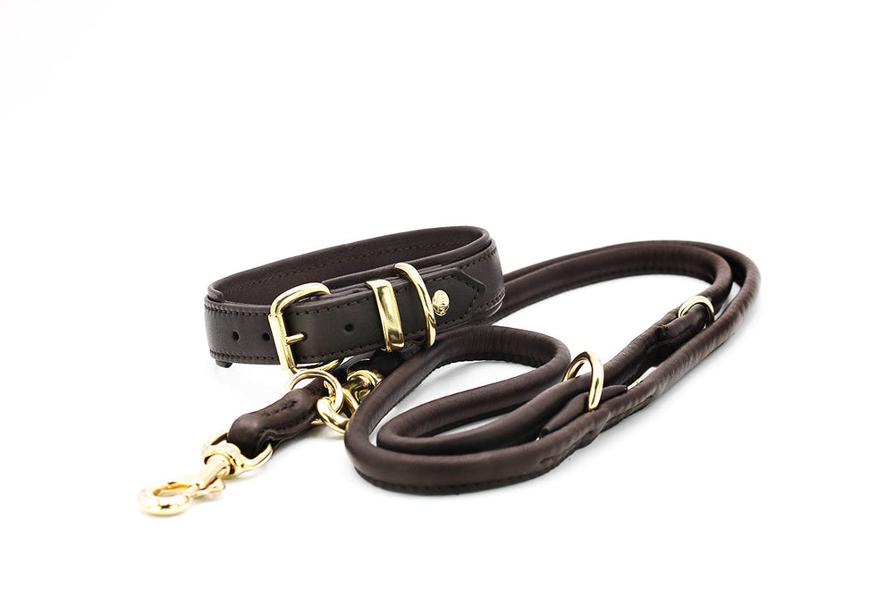 Elegante braune Hundeleine aus Leder mit goldenen Beschlägen und gepolstertem Griff im klassischen Design.