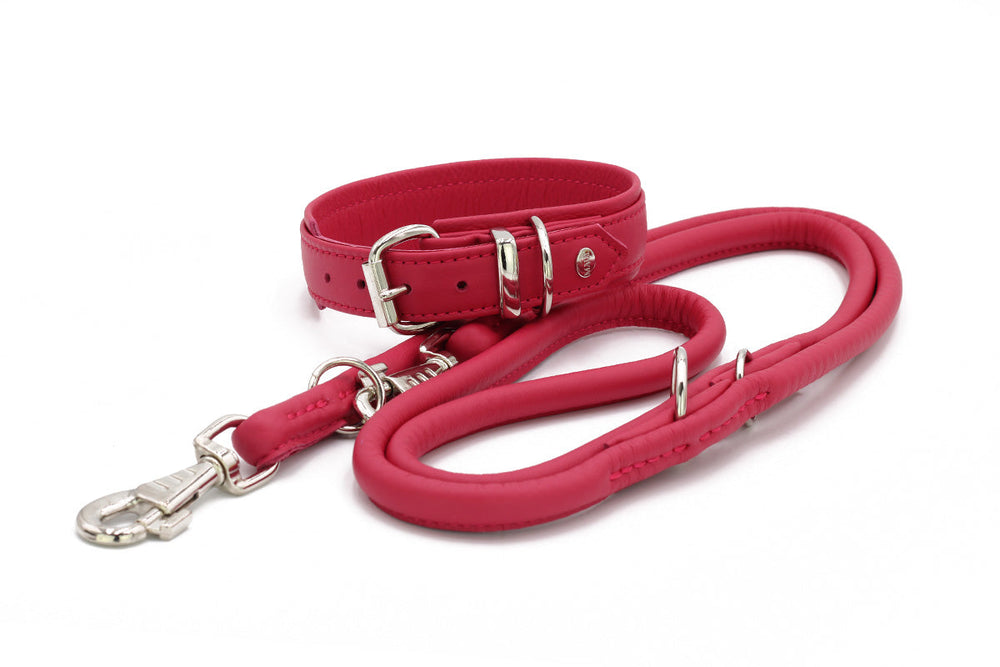 "Pinkes Hundehalsband mit passender Leine, glattes Material und silberne Metallbeschläge, gepolsterter Griff für Komfort."
