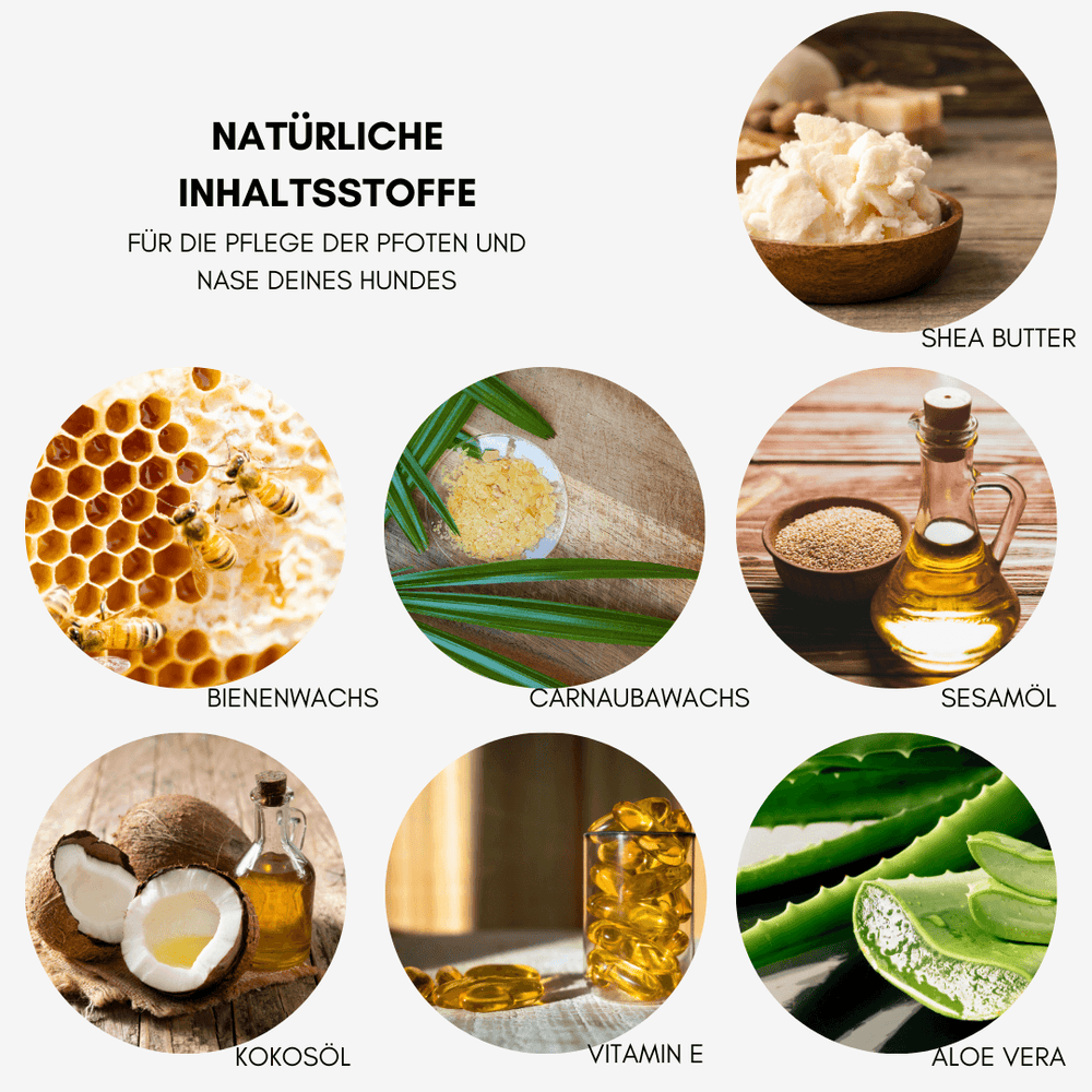 Pfoten- & Nasenbalsam 150ml mit natürlichen Inhaltsstoffen wie Sheabutter und Aloe Vera für gesunde Hundepfoten und -nasen.