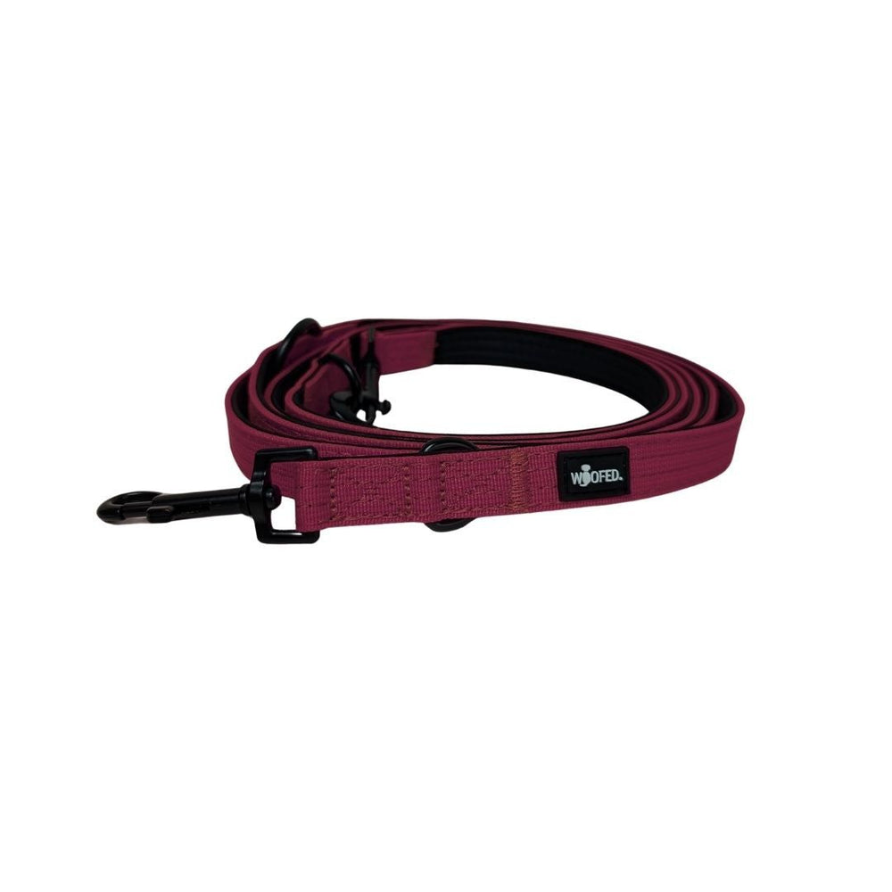 Burgunderrote Nylon Führleine Classic mit Karabinerhaken, robust und ideal für Spaziergänge mit Ihrem Hund.