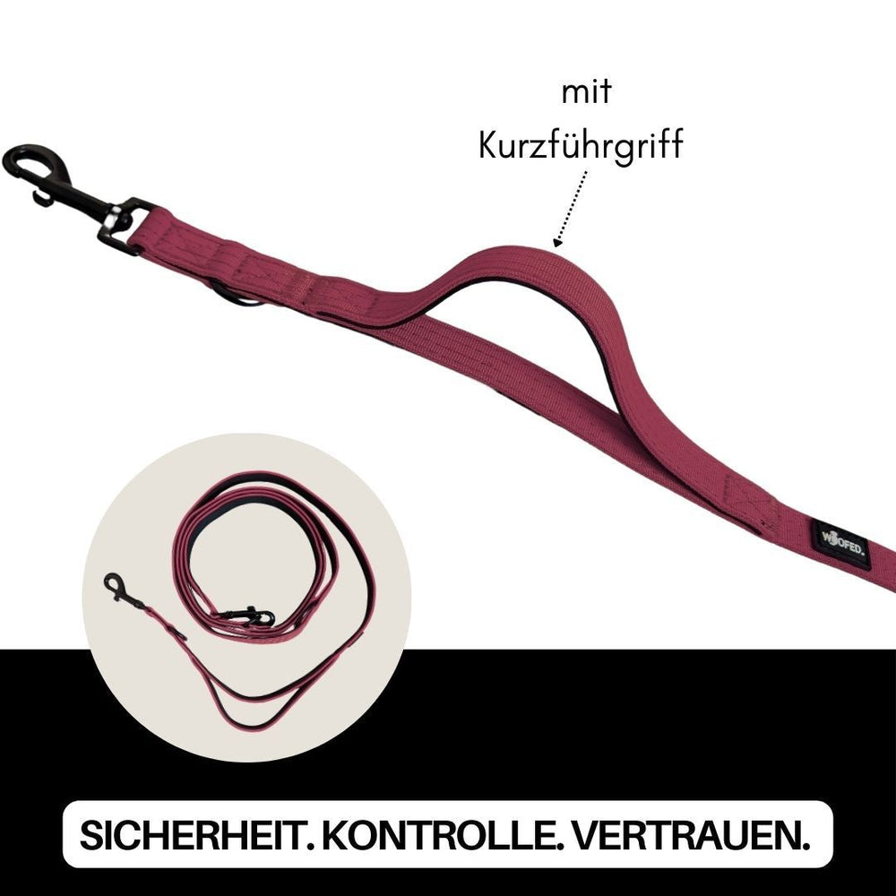 Tiefrote Nylon Hundeleine Classic mit Kurzführgriff für bessere Kontrolle und schematischer Darstellung.