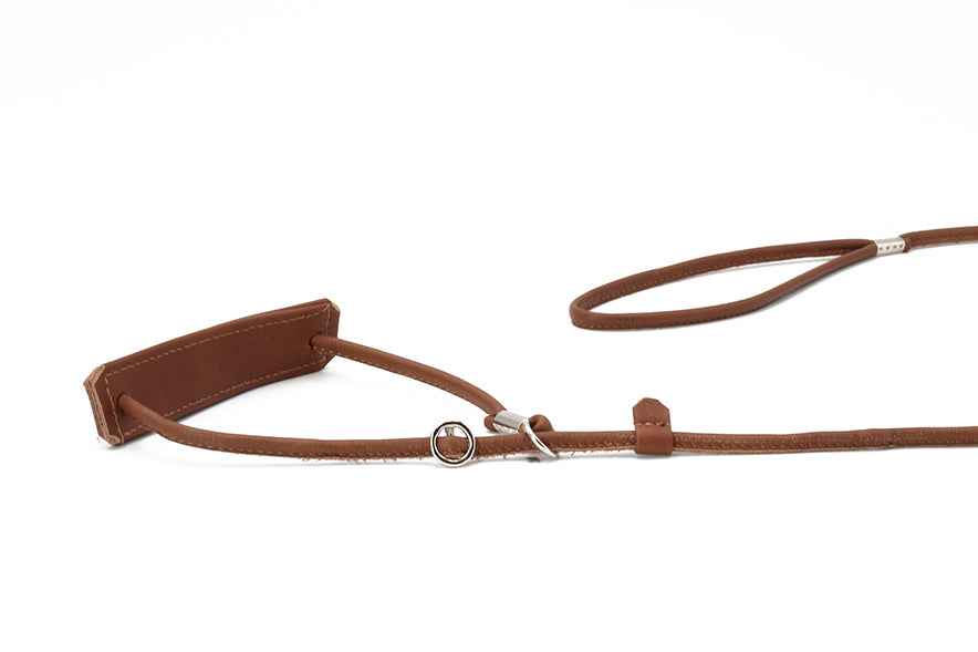 Braunes feines Hundehalsband aus Leder mit gepolsterter Schlaufe und integrierter Leine, ideal für Spaziergänge.