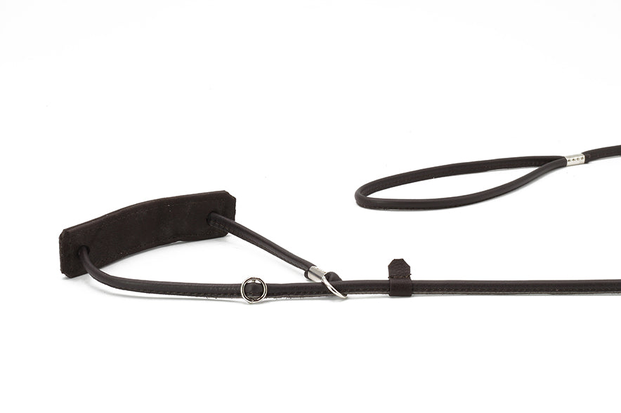 Schwarze verstellbare Hundeleine aus Leder mit gepolstertem Griff und Schlaufe zur Halsbandbefestigung.