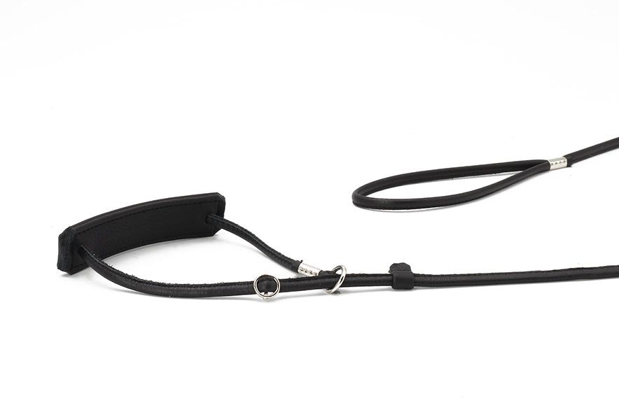 Schwarze verstellbare Hundeleine aus Leder mit gepolstertem Griff, Karabinerhaken und robustem Design.